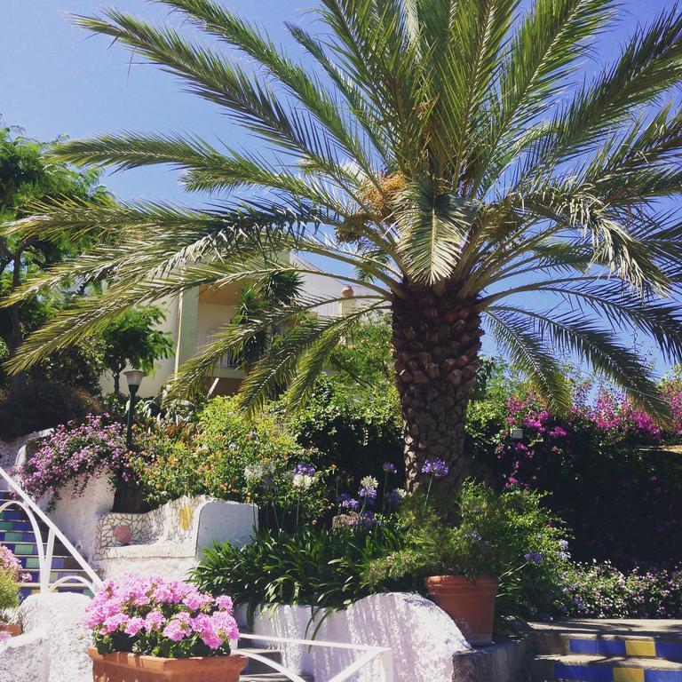 Paradiso Terme Resort & Spa Con 5 Piscine Termali Forio di Ischia エクステリア 写真